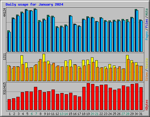 Daily usage for January 2024