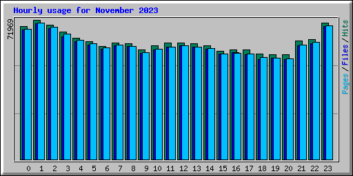 Hourly usage for November 2023