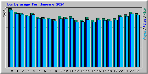 Hourly usage for January 2024