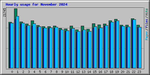 Hourly usage for November 2024