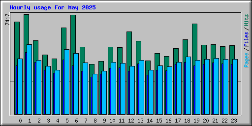 Hourly usage for May 2025