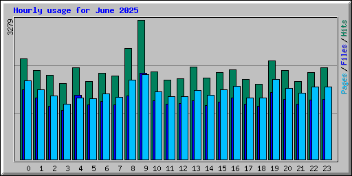 Hourly usage for June 2025