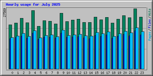 Hourly usage for July 2025